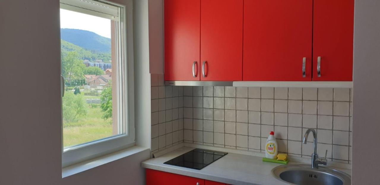 Lux Apartman Ristić 2 Sokobanja Extérieur photo